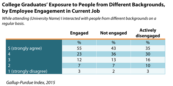 Microsoft Word - Gallup-Purdue-Diversity.docx